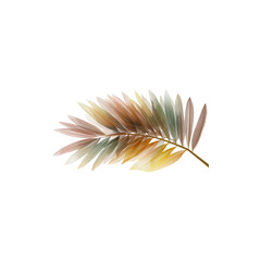 Naklejka premium Palm Leaf Silhouette Tropical Plant Shape Exotic Foliage Botanical Shadow Nature Decoration Isolated on White Background