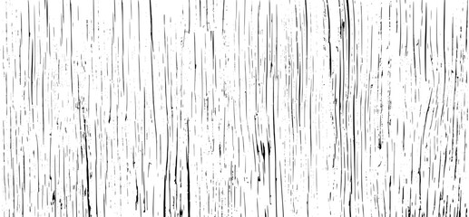 Tree bark texture