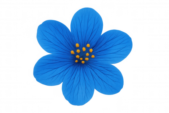 Blue blossom with yellow stamens presenting a fresh spring and nature concept on transparent background - Powered by Adobe