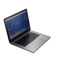 Crypto Tax Accountant Reviewing Digital Assets