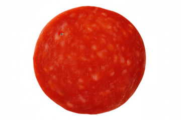 Pepperoni slice isolated on transparent background, top view showing round shape and red cured meat texture