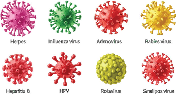 Diverse virus types depicted with vibrant colors, offering clear visual representations for scientific and educational purposes.