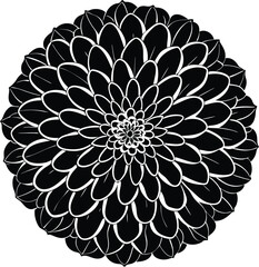 Stylized Black and White Dahlia Flower Vector Illustration