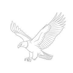 Obraz premium Flying eagle line art illustration
