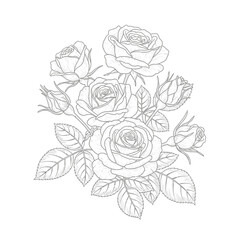 Hand drawn whisk illustration for culinary designs and kitchen graphics