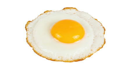 A single perfectly cooked sunny side up fried egg.