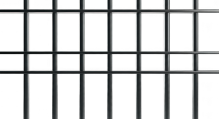 A closeup view of a black metal fence or grate against a transparent background