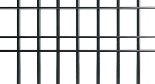 A closeup view of a black metal fence or grate against a transparent background