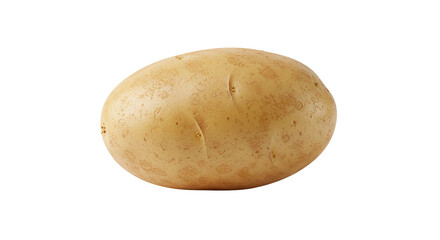 Single Raw Organic Russet Potato Tuber.