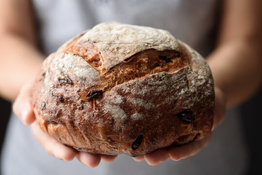 Freshly baked sourdough bread is held in a woman's hand - Powered by Adobe