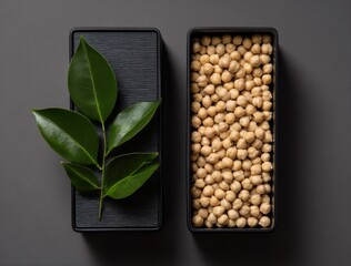 An arrangement featuring a green branch on a dark tray next to a tray filled with chickpeas, all on a gray background in a minimalist style
