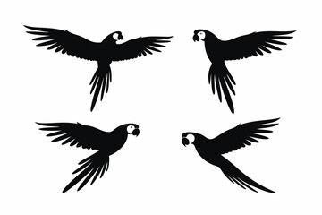 set of Parrot flying silhouette vector  isolated on white background