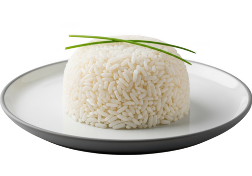 Perfectly shaped rice portion on a plate isolated on transparent background