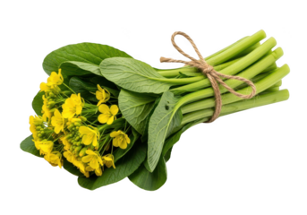 Beautiful bouquet of choy sum with yellow flowers isolated on transparent background