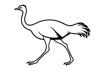 line art Ostrich running silhouette vector isolated on white background