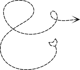 Arrow dashed line