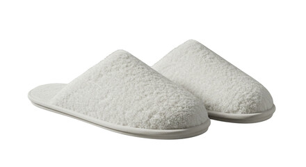 slippers isolated on white