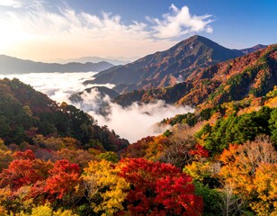 Autumn mountain valley shrouded in mist