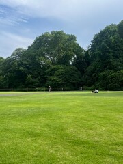 Obraz premium A peaceful japanese public park with greenery and walking paths