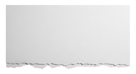 Torn White Paper Piece with Rough Edges Rectangular Shape and Subtle Shadow.