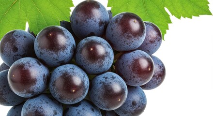 美味しそうに実った巨峰