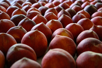 Beautiful tasty fresh peaches laying out on a table with bright red, orange and peach colors.