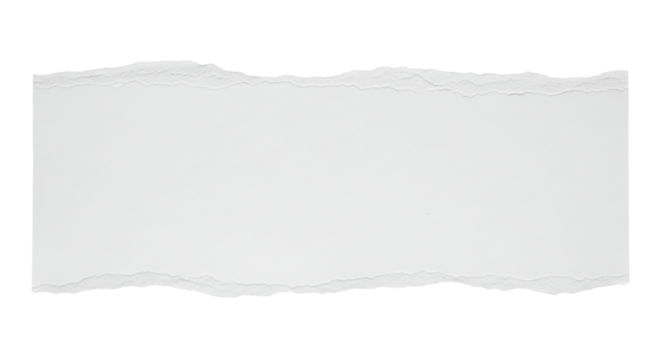 Blank white rectangular paper strip with ragged fibrous and unevenly torn edges.
