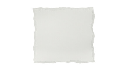 Blank white torn paper fragment with rough irregular edges and visible texture.