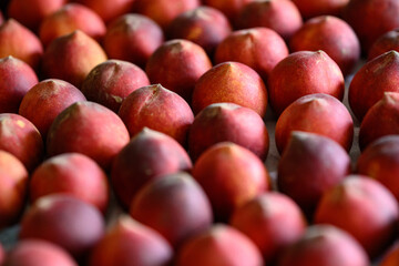 Beautiful tasty fresh peaches laying out on a table with bright red, orange and peach colors.