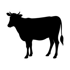 Black silhouette of a cow standing on a white background