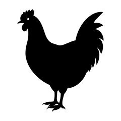 Black silhouette of a chicken standing on a white background