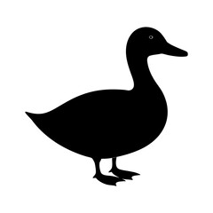 Simple black silhouette of a duck standing on white background