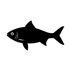 Simple black silhouette of a fish on white background