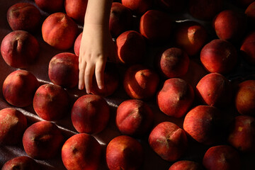 Small child hand reaches for fresh peach at home on table with lots of red, orange tasty delicious peaches
