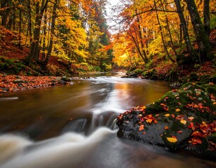 Autumn stream flowing through colorful forest