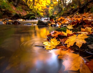 Autumn stream, vibrant leaves