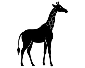 Giraffe standing silhouette vector isolated on white background