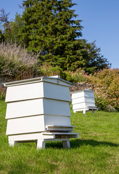 Chartwell House Bee Hives