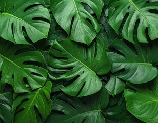 Vibrant Green Tropical Leaves Background