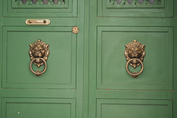 Elegant lion door knockers on green doors in vibrant setting
