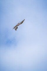 Air show planes flying in formation in blue sky