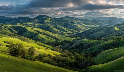 Obraz premium Panoramic view of sun-dappled green hills and valleys under a dramatic sky. Rolling hills, lush vegetation, and scattered trees fill the landscape