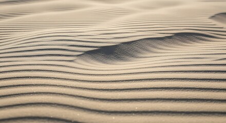 Obraz premium Close-up view of windswept desert sand exhibiting intricate patterns and ripples.