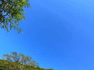 空, 自然, 緑, 青, sky, nature, green, blue,