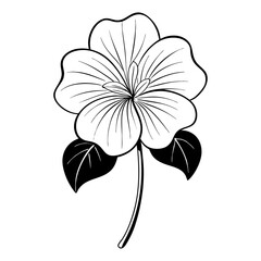 minimal line art nasturtium white flower vector on white background