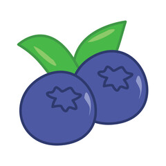 Blueberries Fruit Illustration, Blueberries Fruit Illustration