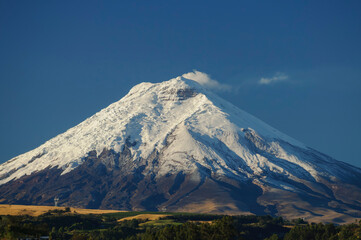 Fototapeta premium Majestic Cotopaxi Volcano early in the morning