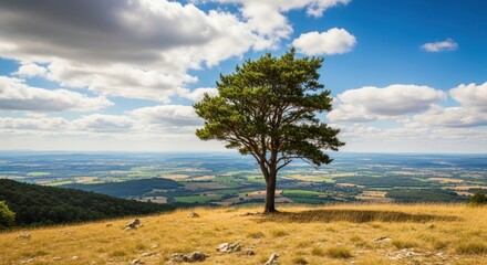 Fototapeta premium Solitary, majestic tree on a golden grassy hill, offering a breathtaking panoramic view of a vibrant sunlit rural landscape with rolling fields and distant forests under a dynamic blue sky with scatte