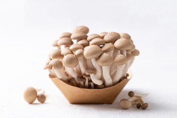 Fresh brown Shimeji mushroom in paper bowl on white background, Asian edible mushroom, Food ingredients