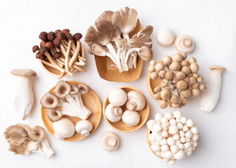 Fresh Champignon, Yanagi, Shimeji, oyster and King trumpet mushroom on white background. Asian edible mushroom, Food ingredients